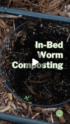 a bed worm composting basket in the ground