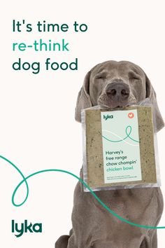 a dog with its head in a package that says it's time to re - think dog food