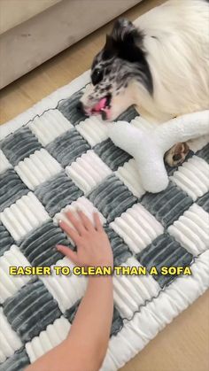 a dog laying on top of a white and black checkered rug next to a person's hand