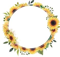 the sunflowers are arranged in a circle