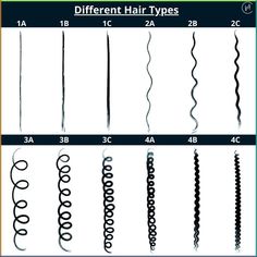 Discover all hair types (1A, 1B, 1C, 2A, 2B, 2C, 3A, 3B, 3C, 4A, 4B, 4C) and their differences. Read our different hair types guide! C3 Hair, Types Of Black Hair, 1c Hair Type, 2b Hair Type, 3a Hair Type, Types Of Hair Texture, 2a Curly Hair, Type 2b Hair, Type 2 Hair