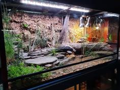 an aquarium filled with plants and rocks in a dark room next to a light fixture