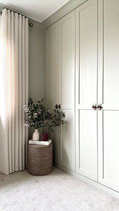 a room with white cupboards and a plant in the corner