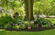 a tree in the middle of a garden with lots of plants and trees around it