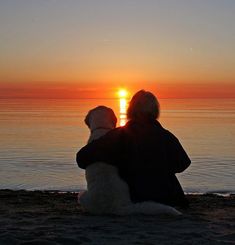 two people sitting on the beach with their dog watching the sun go down over the water