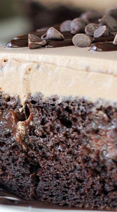 a close up of a piece of cake on a plate with chocolate chips and frosting