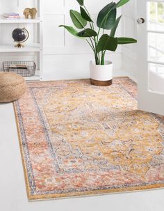 an area rug with a potted plant in the corner