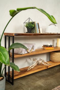 a wooden shelf with books and plants on it