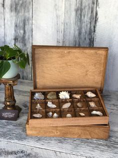 a wooden box filled with shells next to a potted plant on top of a table