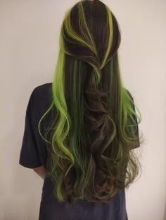 Cabelo castanho escuro com mechas verdes Brown And Green Hair, Colored Wigs, Hair Color Trends, Green Hair, About Hair, Hair Designs, Pretty Hairstyles