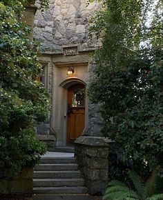 the entrance to an old stone building with steps leading up to it and trees around