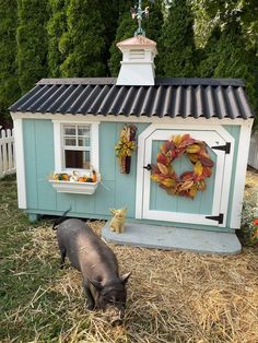 a pig is standing in front of a small blue house with a wreath on the door