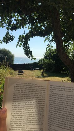 an open book sitting in front of a tree with the ocean in the back ground