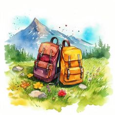 two backpacks are sitting in the grass with mountains in the backgrouf