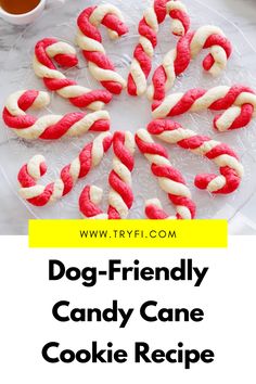 dog friendly christmas cookies you need to make this week - try out the recipe here