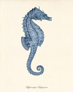 a drawing of a blue sea horse on white paper