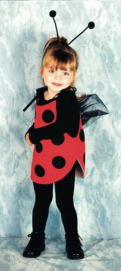 Lady Bug My 1st Toddler Costume & Halloween Costumes Best Toddler Halloween Costumes, Halloween Toddler Party, Twin Costumes, Twin Halloween Costumes, Spider Crafts, Baby Kostüm