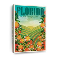 a book cover with an orange tree and the words florida written in green on it