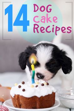 a small dog is blowing out the candles on a cake that has been placed on a plate