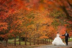 a bride and groom walking down a path surrounded by trees with orange leaves on it