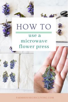 how to use a microwave flower press with pictures and text overlay that reads, how to use a microwave flower press