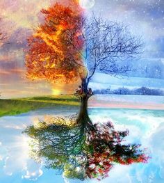 a tree with the words to everything there is a season and a time for every purpose under the sun