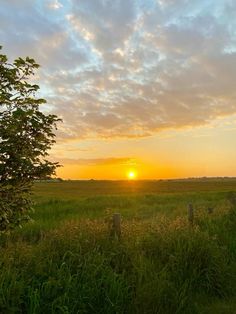 the sun is setting over an open field with tall grass and trees in the foreground