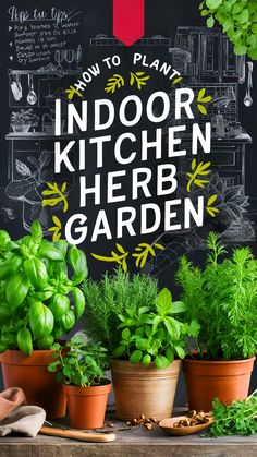 an outdoor kitchen herb garden with herbs in pots on a table next to a chalkboard