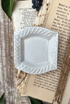 a white plate sitting on top of an open book next to some grapes and leaves