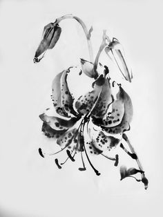 a black and white photo of flowers in the air with water droplets on it's petals