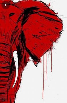 an elephant with red paint on it's face