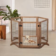 a dog is laying in its cage on the floor next to a potted plant