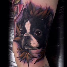 a black and white boston terrier tattoo on the right leg with flowers around it