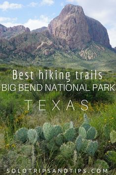 the big bend national park in texas with text overlay that reads best hiking trails