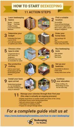 the steps to beekeepering info sheet with instructions on how to use it and how to