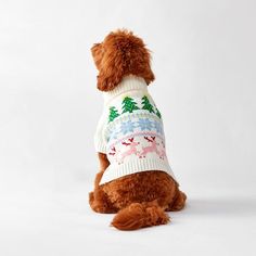 a brown dog wearing a sweater with christmas trees on it's back, sitting in front of a white background