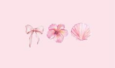 three seashells and a bow on a pink background