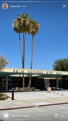 a palm tree is in front of a building