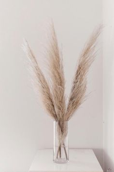 some dry grass in a glass vase on a shelf next to a white wall,