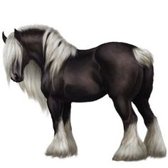 a black and white horse with long hair standing in front of a white background,