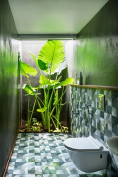 a bathroom with green walls and tiled flooring next to a plant in the corner