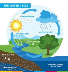 the water cycle is shown in this diagram, and shows how it's different stages