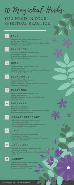 10 Magickal Herbs You Need In Your Practice - essential herbs and flowers for witchcraft Flower Magic Powers, Spirituality Guide, Grimoire Inspiration, Raise Vibrations, Herb Magic, Magick Herbs, Antique Knowledge, Herbal Education, Săpunuri Handmade