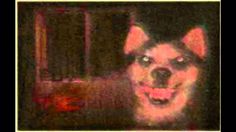 a blurry photo of a dog's face and mouth is seen in this image