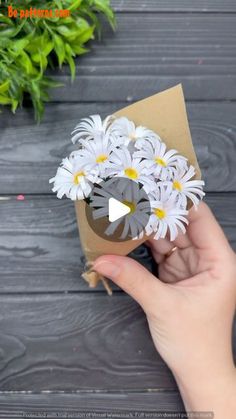 someone is holding some daisies in their hand