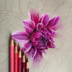 some colored pencils are laying next to a purple flower on a white paper background