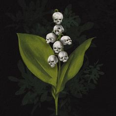 a bunch of skulls sitting on top of a green leaf