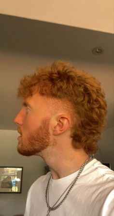 Mullet With Tapered Sides, Curly Mullet Shaved Sides Men, Curly Mullhawk, Ginger Haircut Men, Fluffy Curly Mullet, Mullet With Faded Sides, Curly Burst Fade Mullet, Ginger Mullet Man, Fluffy Mullet Men