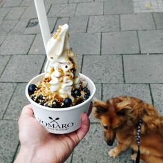 a person holding an ice cream sundae next to a dog