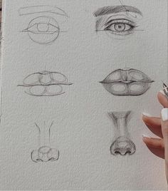 a person holding a pen and drawing different types of eyes on a piece of paper